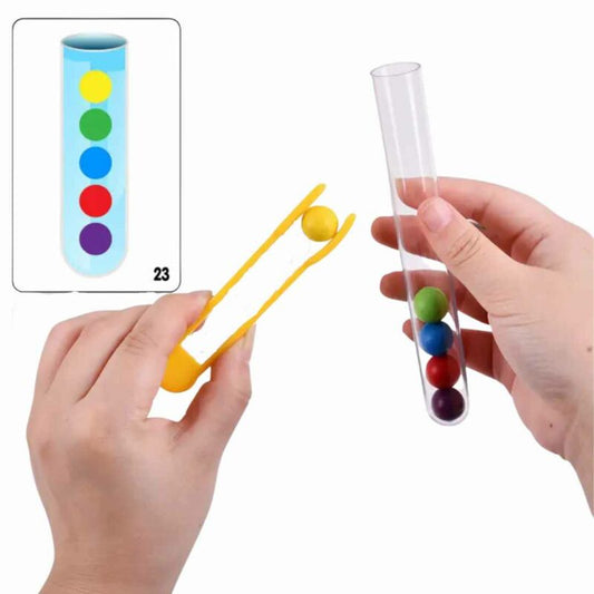 Colored ball solutions