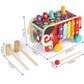 Multifunctional Xylophone 2