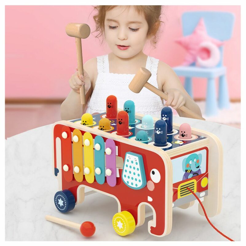 Multifunctional Xylophone 2