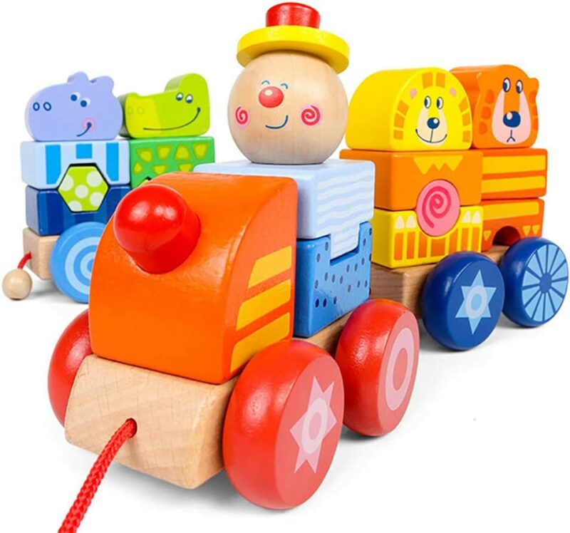 Wooden train with building blocks