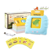 Talking Flash Cards – Rechargeable Learning Toy