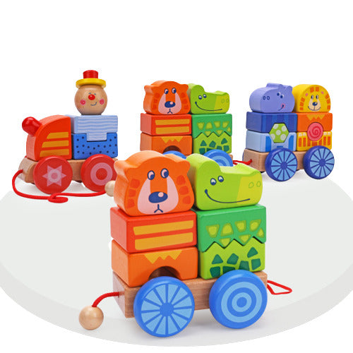 Wooden train with building blocks