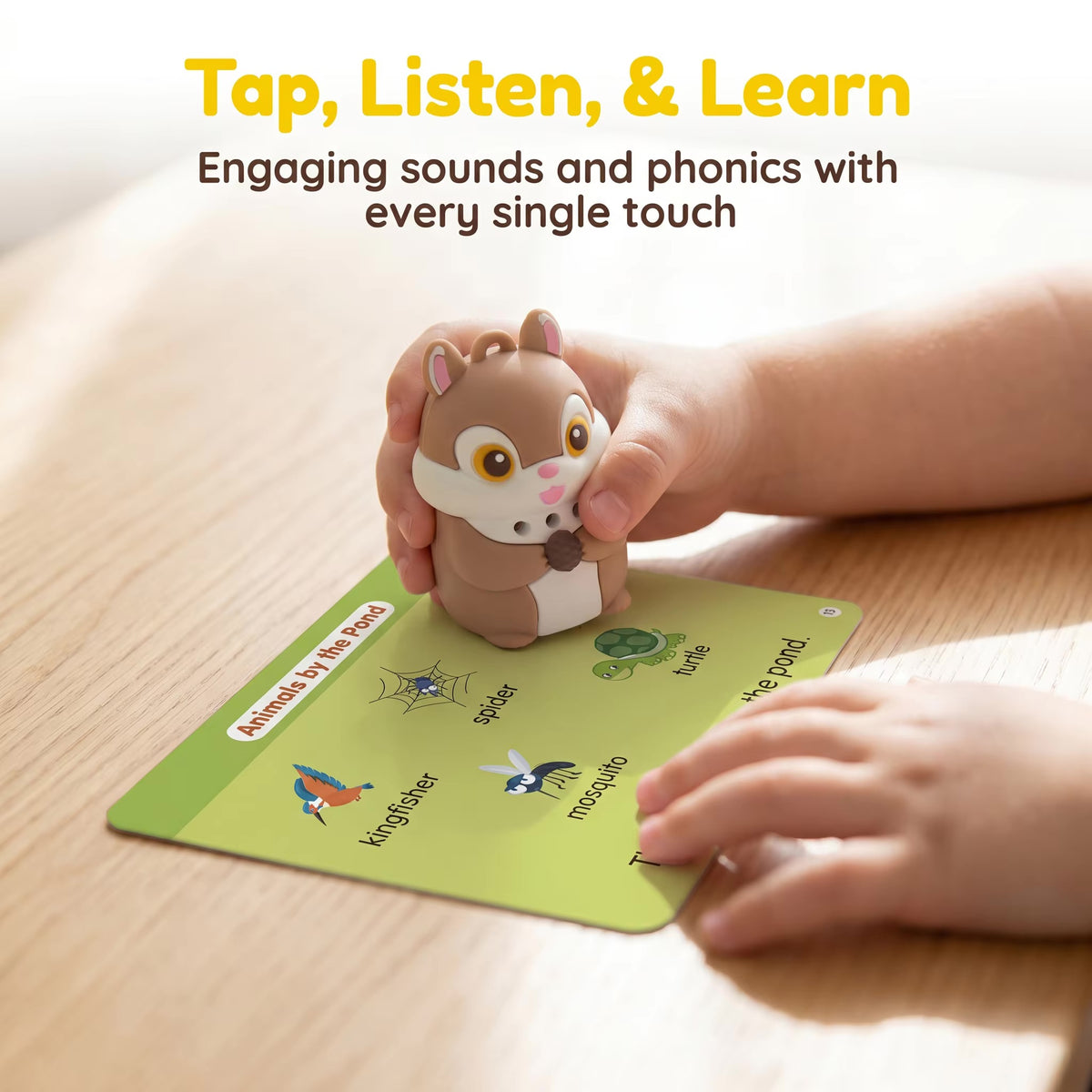 English Phonics Flash Cards