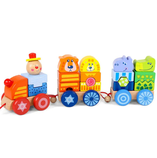 Wooden train with building blocks