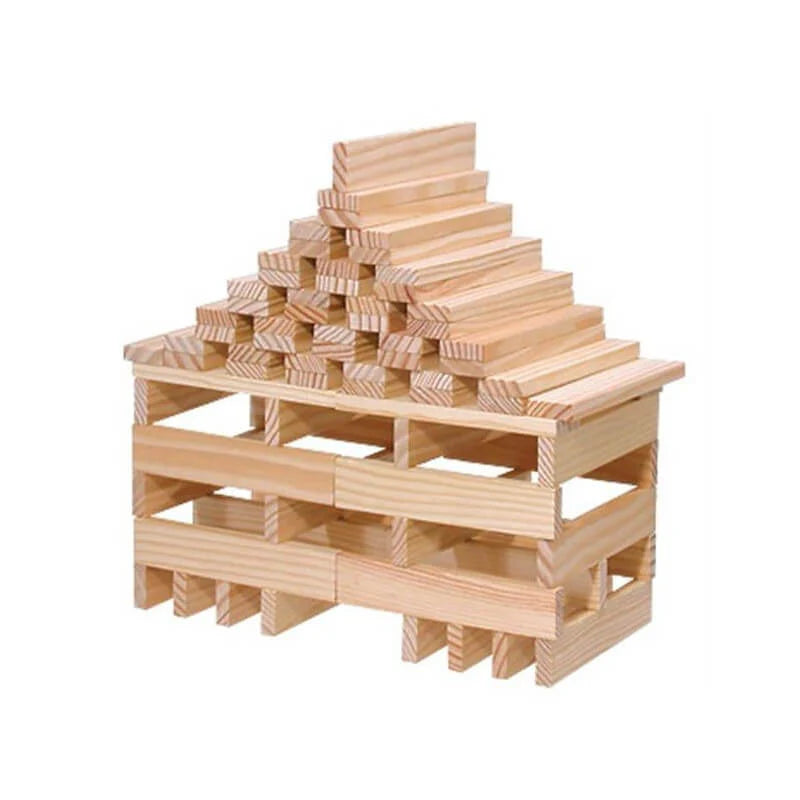 100 pcs Montessori Wooden Building Blocks